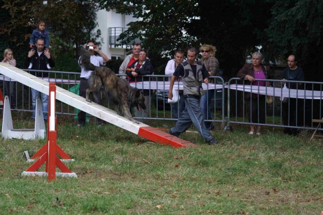 foire-haricots 2011-09-17et18